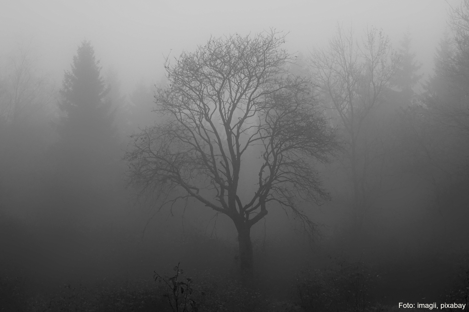 Angst, Jana Behr, Heldin des Alltags