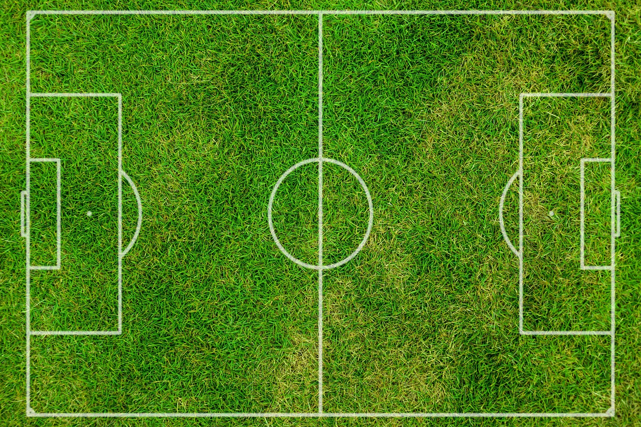 Fußball EM 2016, Heldin des Alltags