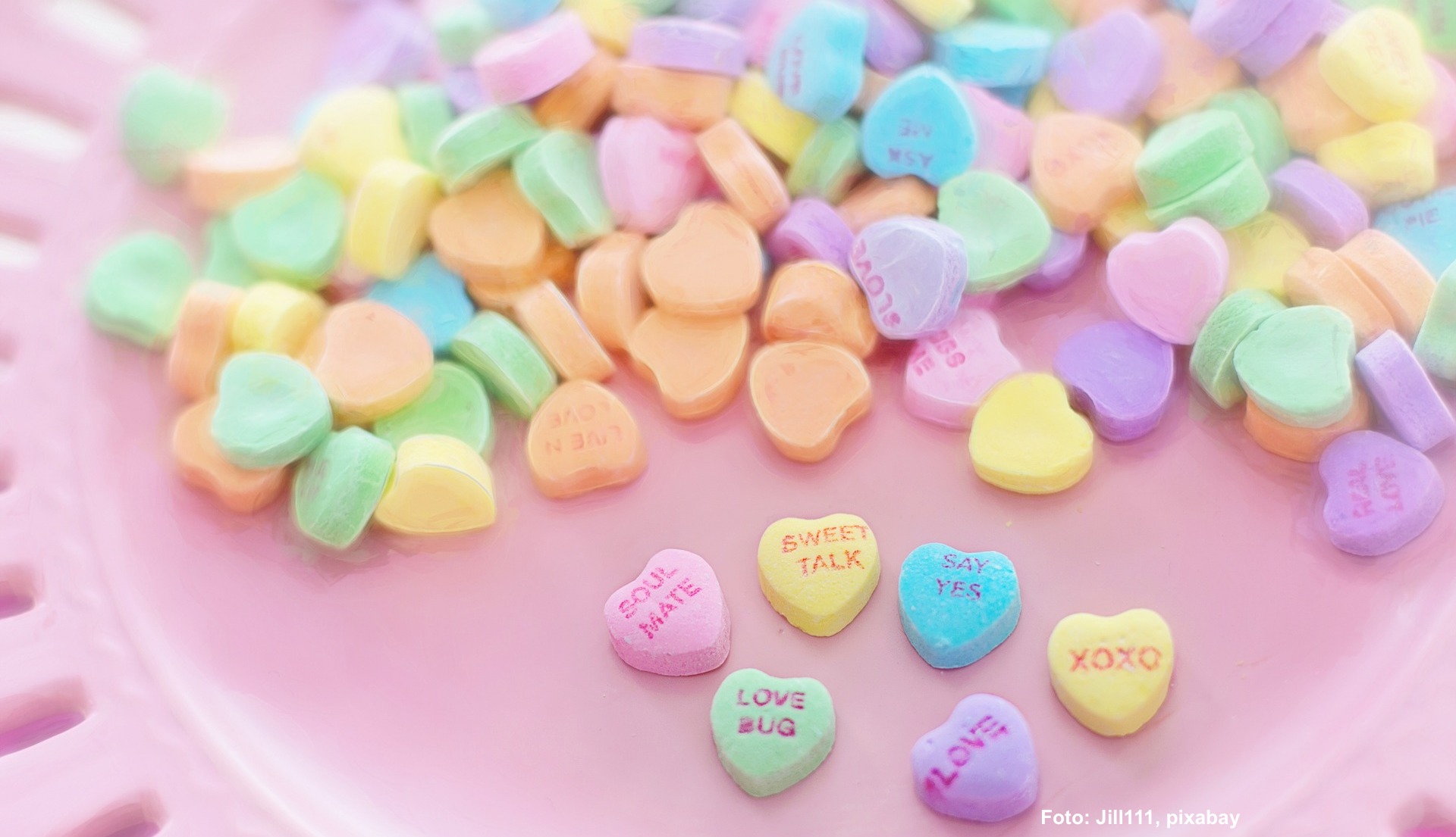 Single, Heldin des Alltags, Single