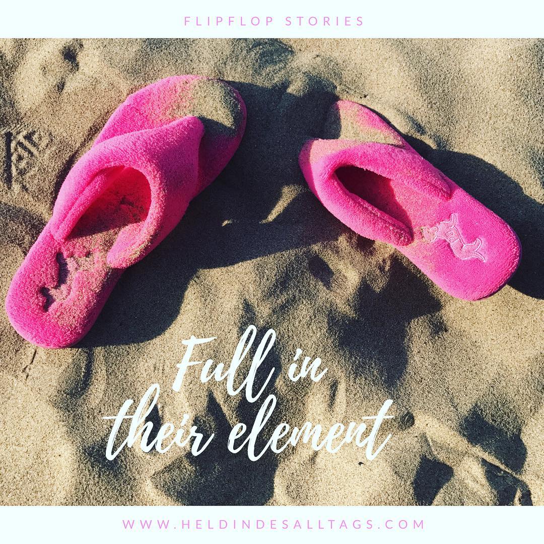 Flip Flops