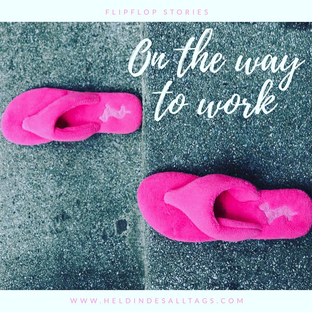 Flip Flops